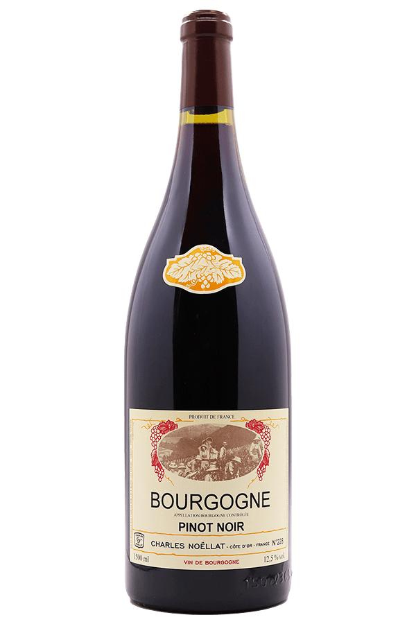 2002 Charles Noellat Bourgogne Pinot Noir